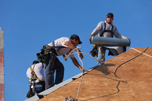 Best Gutter Installation and Roofing  in Oak Hill, TN